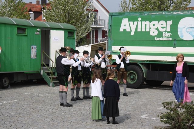 Maibaum 2013